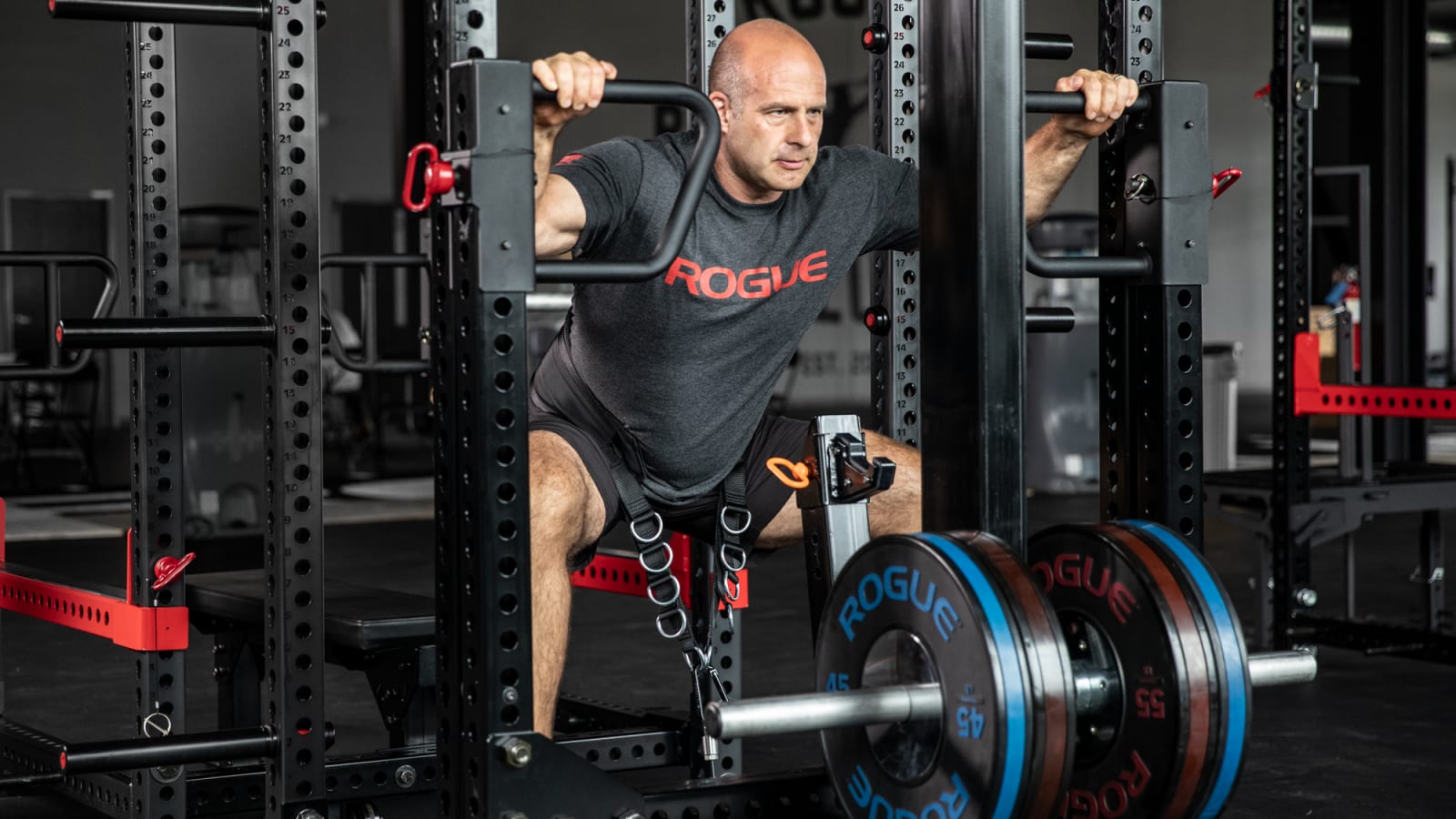 Rogue Monster Rhino Belt Squat - Drop-In | Rogue Fitness